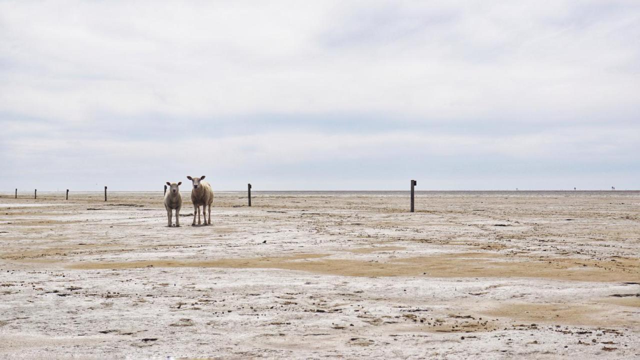 Moderne Kuestenbutze In Nordseenaehe Mildstedt Bagian luar foto